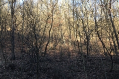 ehese-IMG_0530_resize