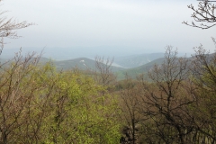 ehese-IMG_0628_resize